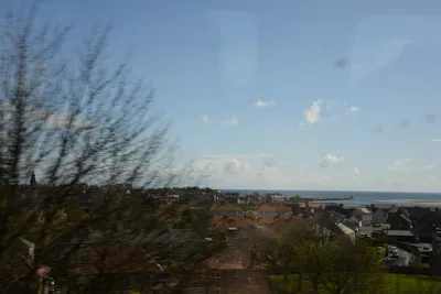 DSC_7241 (Large).JPG